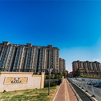 淀山湖花园91短视频版在线观看高清