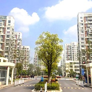 义和苑高档住宅91短视频版在线观看高清