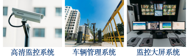 91短视频版在线观看高清解决方案